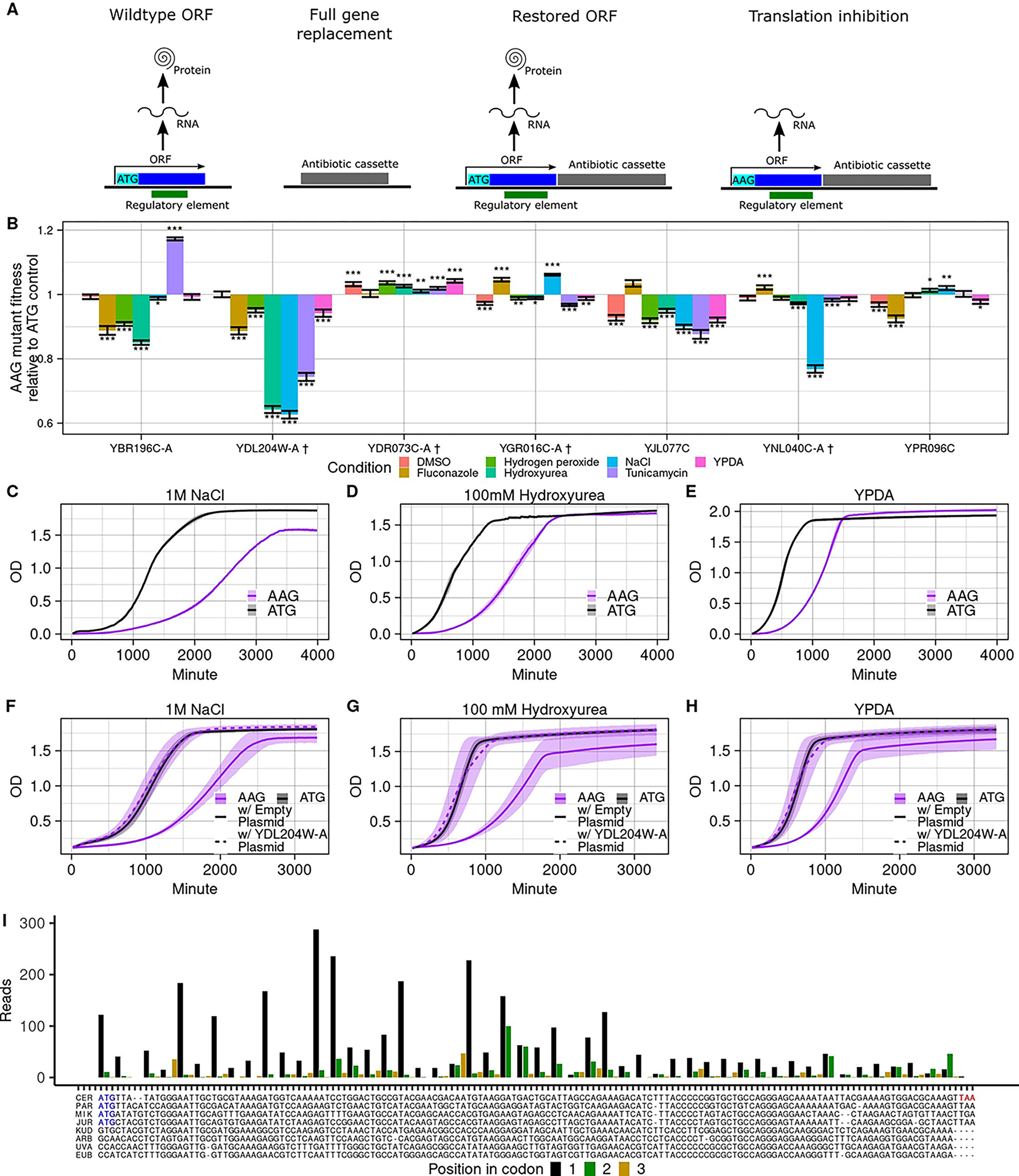 Figure 6: