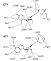 FIGURE 14
