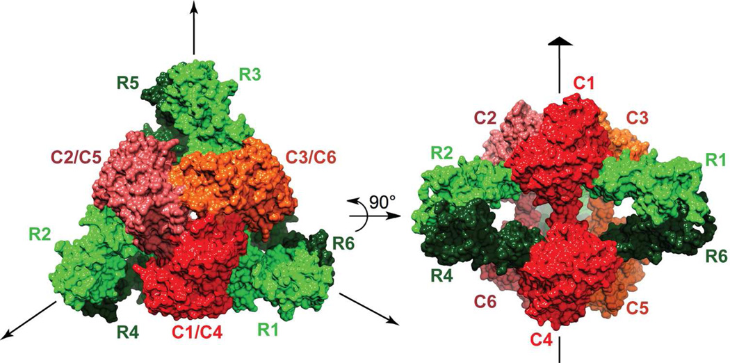 FIGURE 3