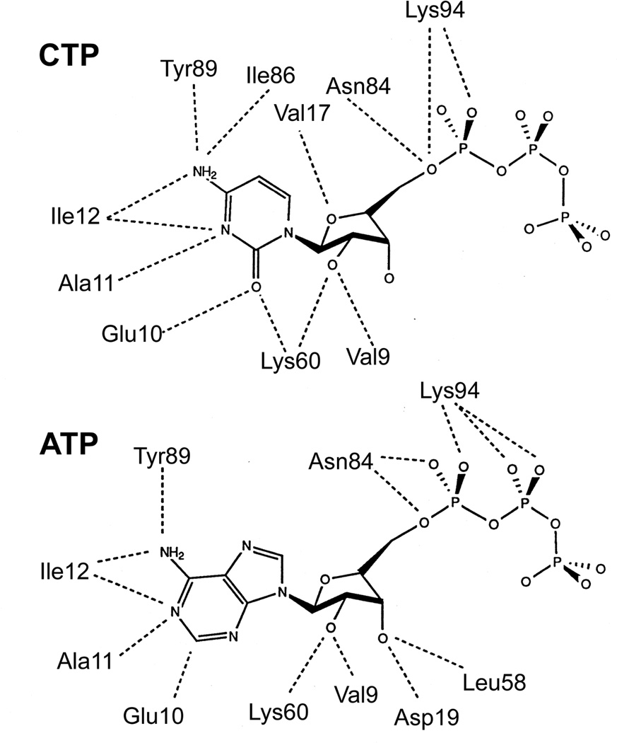 FIGURE 14