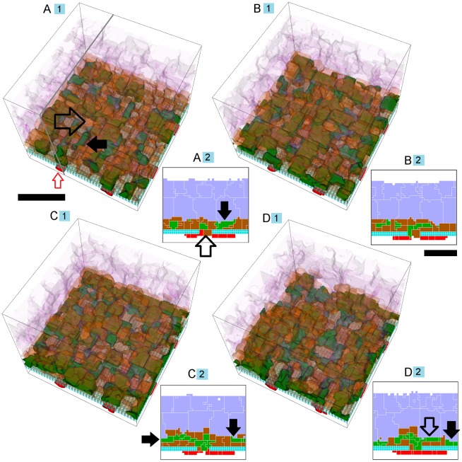 Figure 19