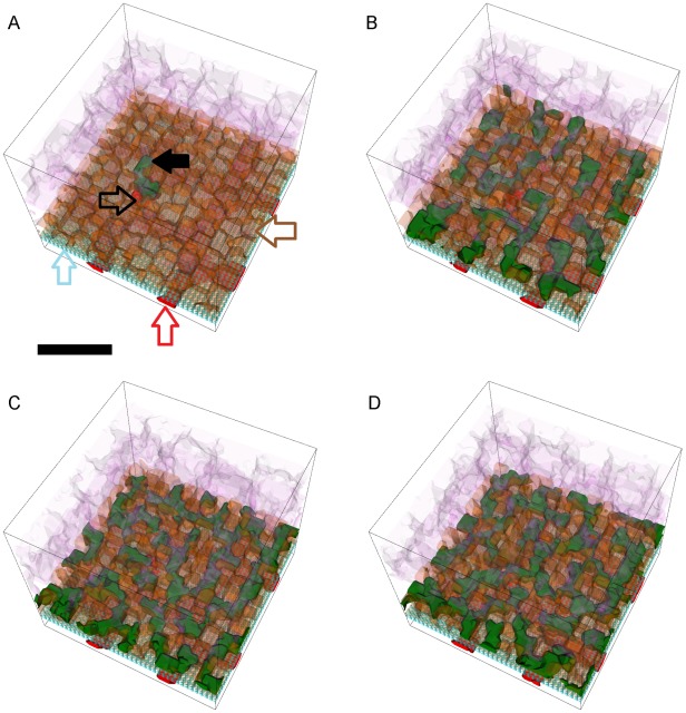 Figure 15