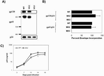 FIG. 2.