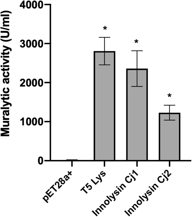 FIGURE 4