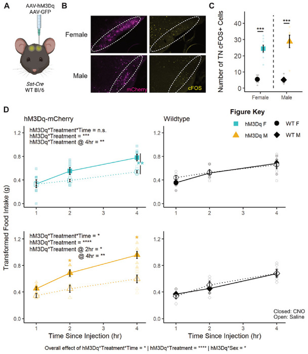 Figure 1: