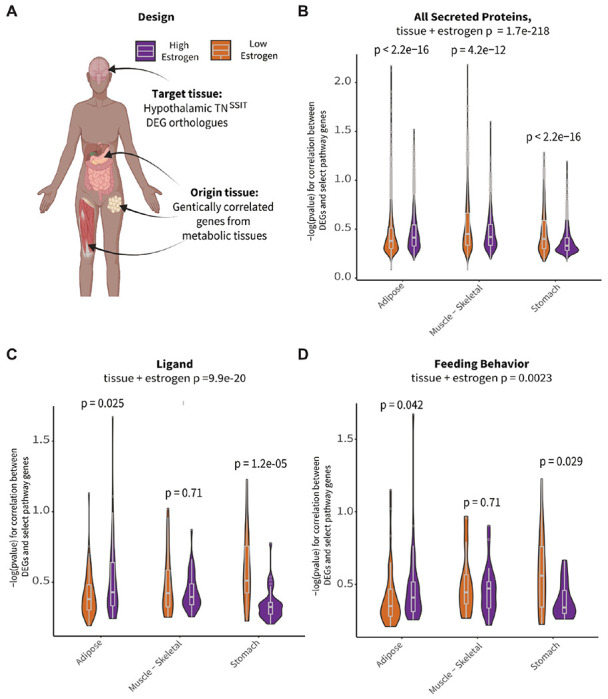 Figure 5: