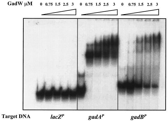 FIG. 5.