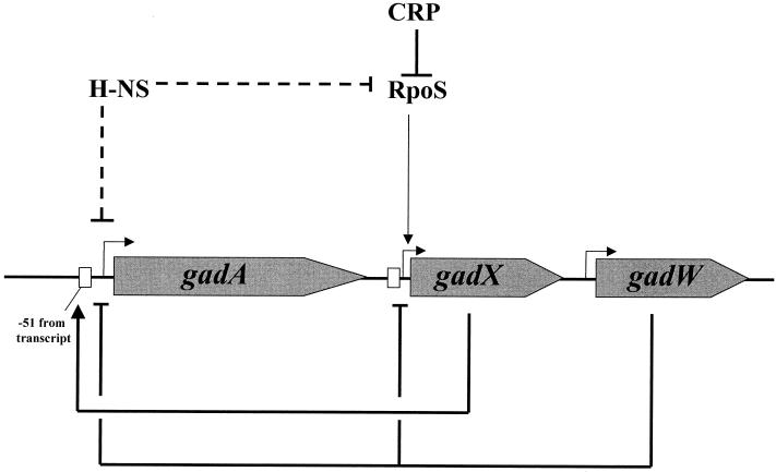 FIG. 10.