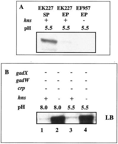 FIG. 9.