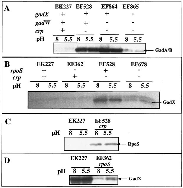 FIG. 7.