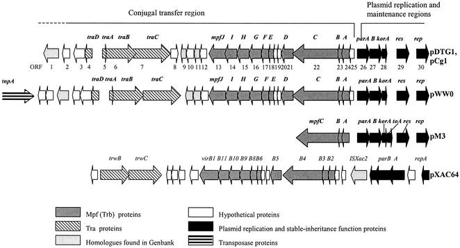 FIG. 2.