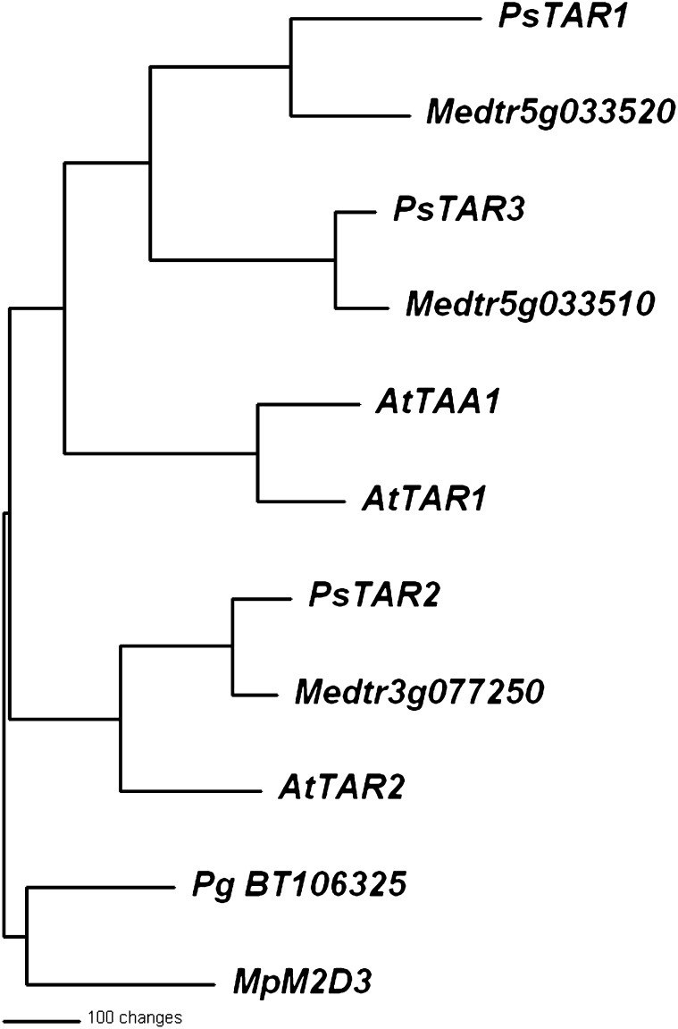 Figure 1.