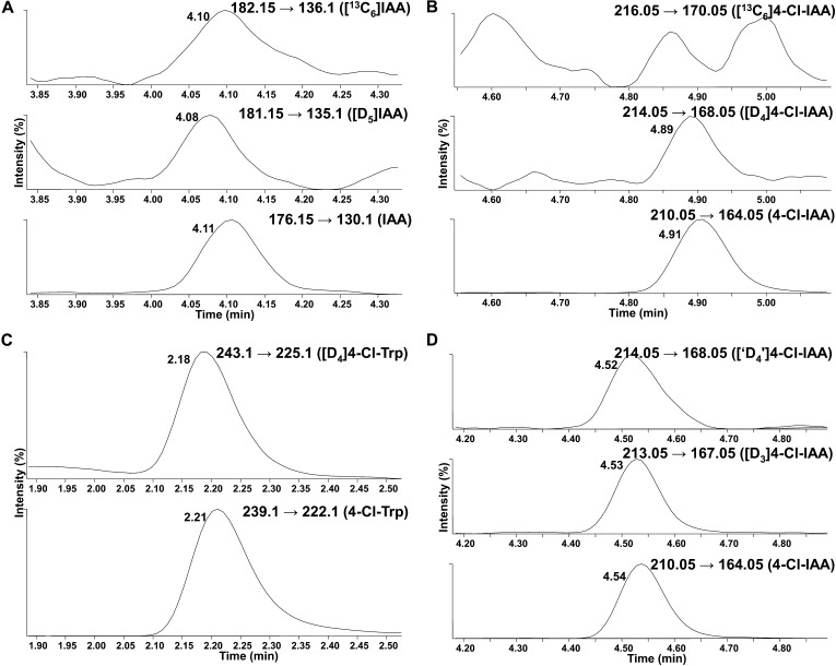 Figure 5.