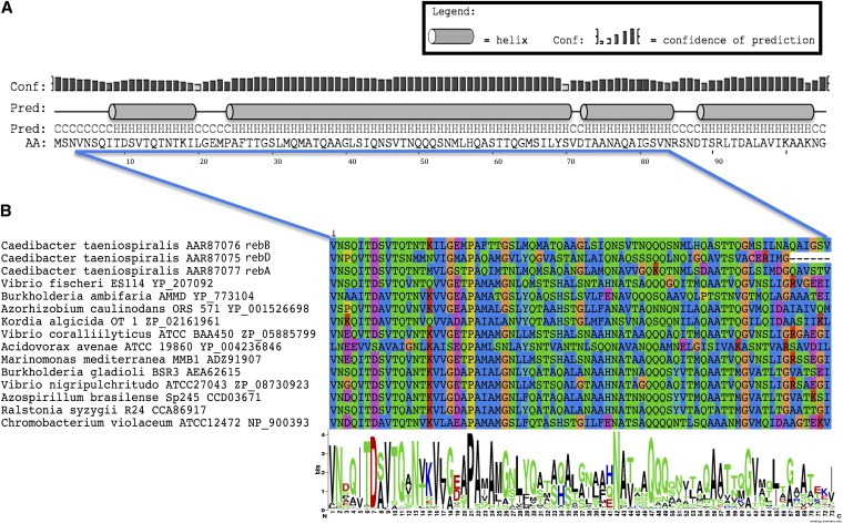 Figure 4 