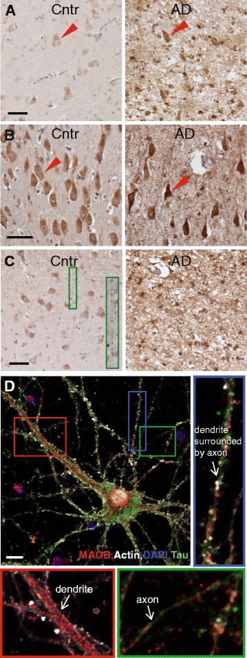 Fig. 2