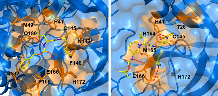 Fig. 3