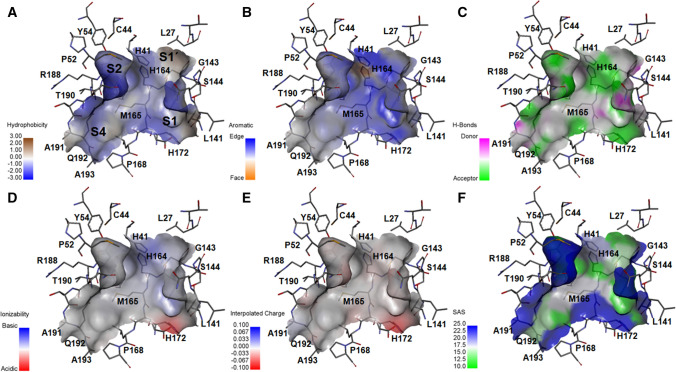 Fig. 1