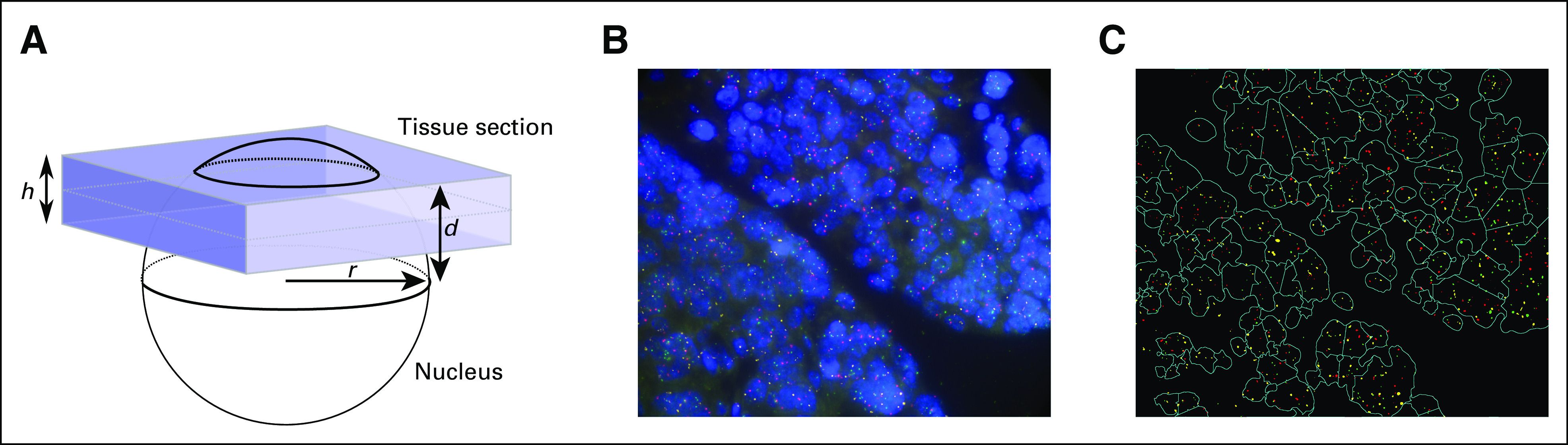 FIG 1.