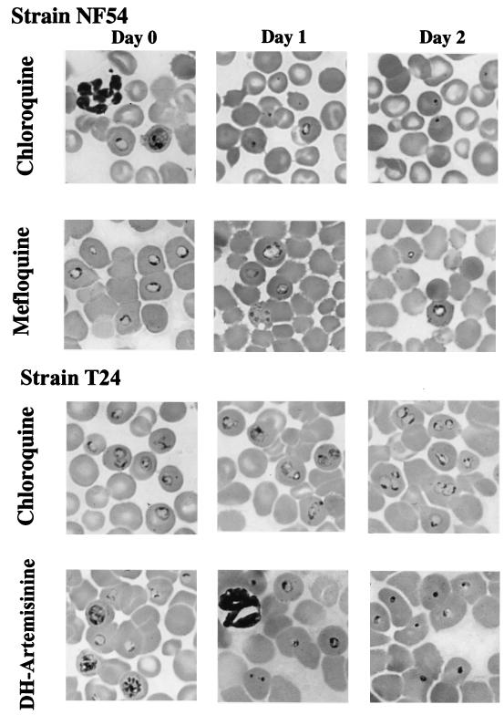 FIG. 3