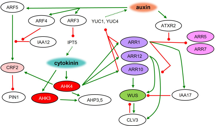 Figure 3