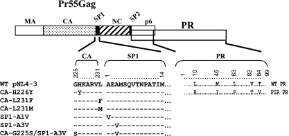 FIG. 1.