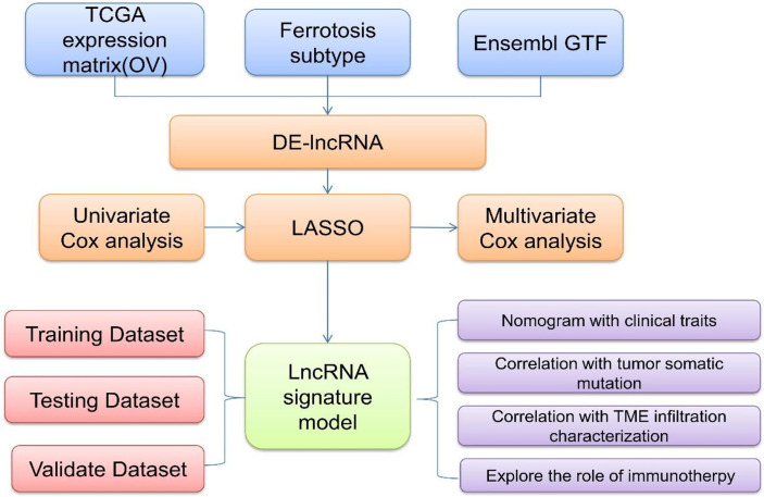 Figure 1