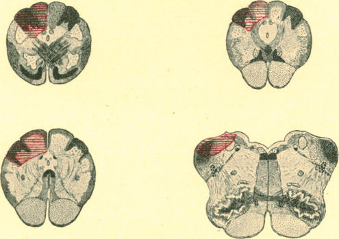 Fig. 19