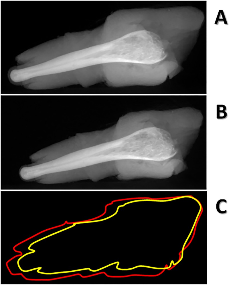 Fig 9