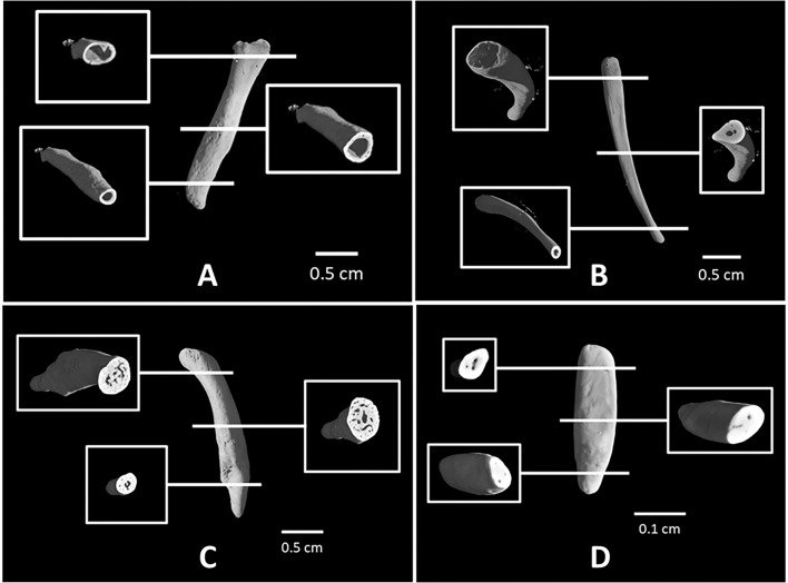 Fig 6