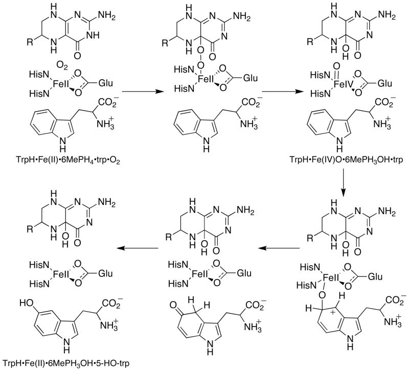 Scheme 2