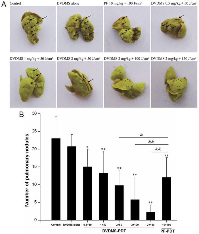 Fig 8