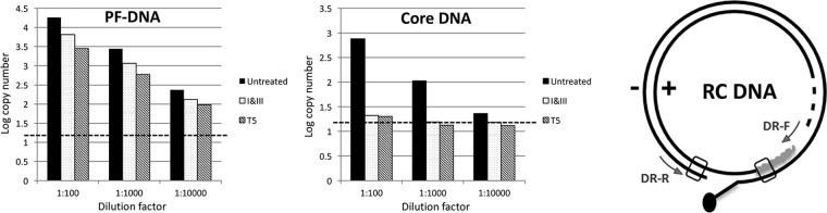 FIG 7