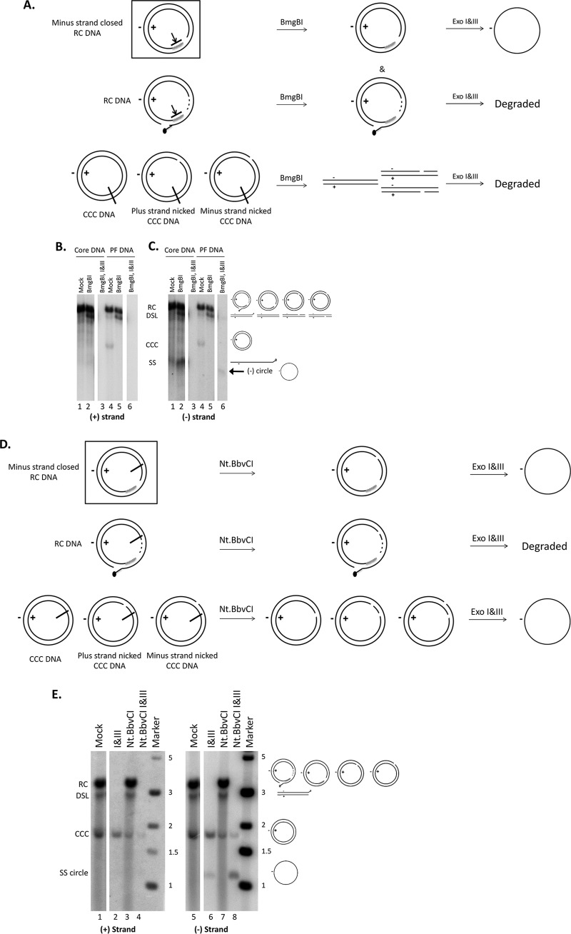 FIG 4