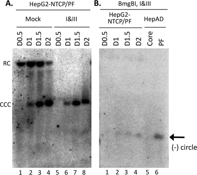 FIG 6