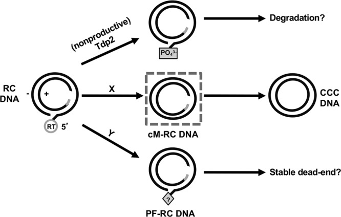 FIG 8