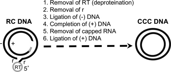 FIG 1