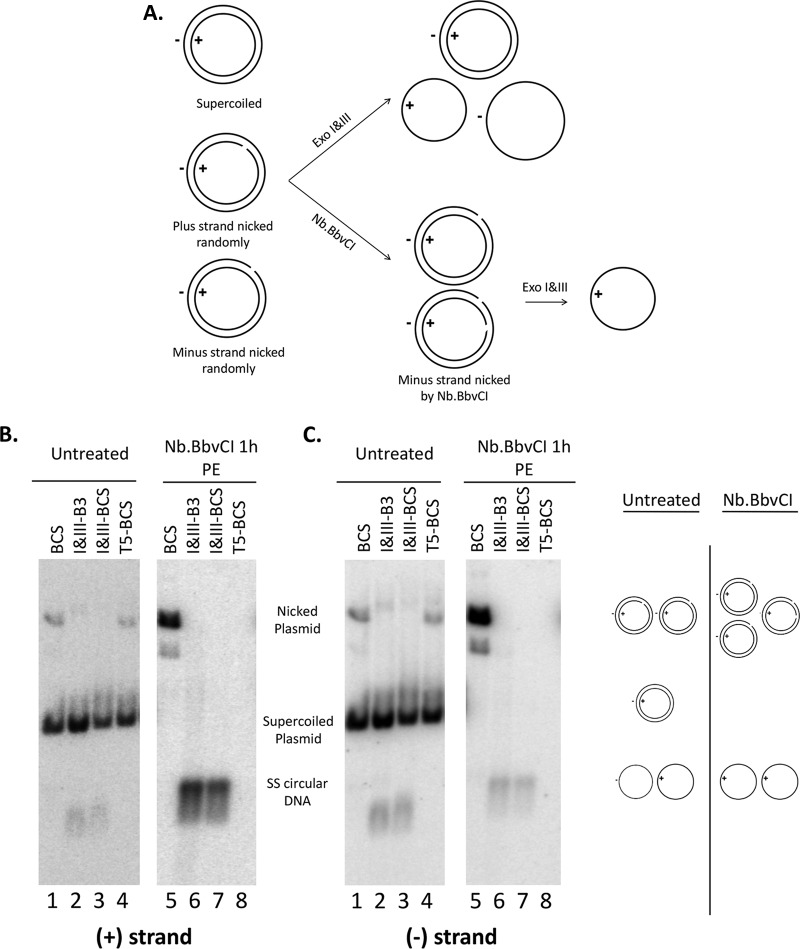 FIG 2