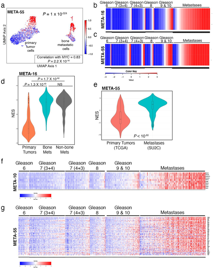 Extended Data Fig. 8 |