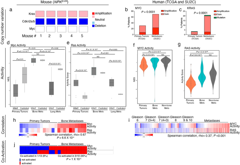 Extended Data Fig. 3 |