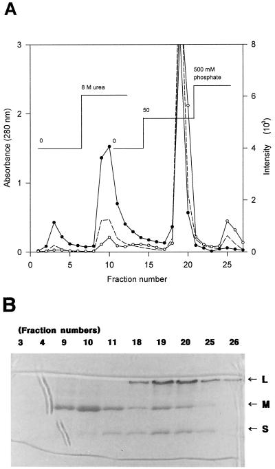 FIG. 7