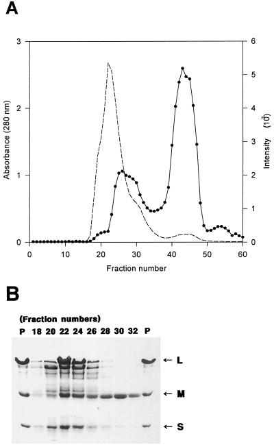 FIG. 8