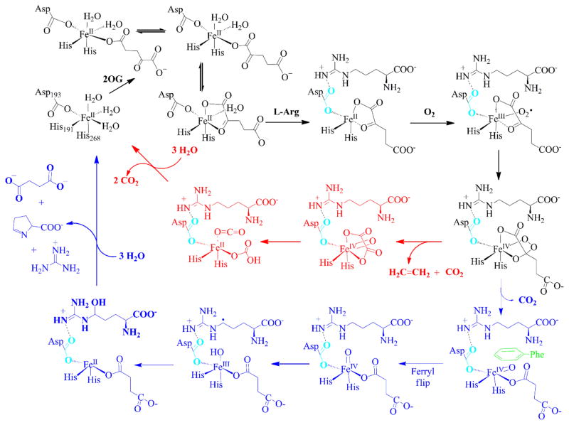 Scheme 3