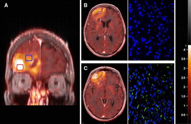 Fig. 4