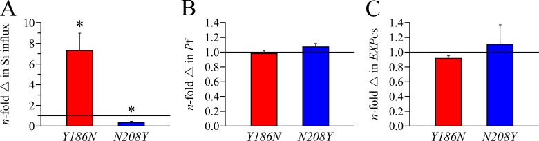 Figure 7.