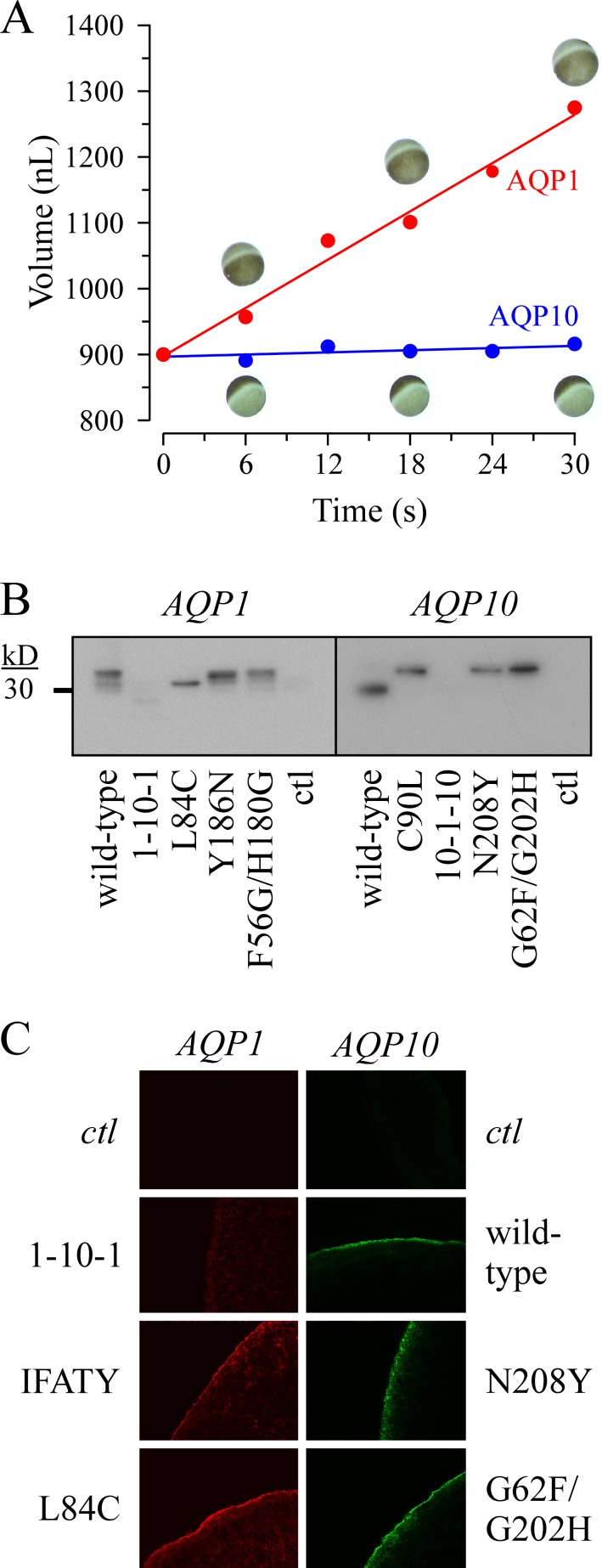 Figure 9.