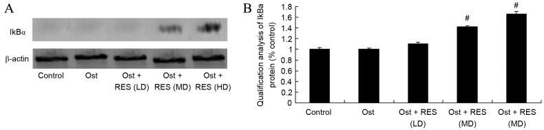 Figure 10.