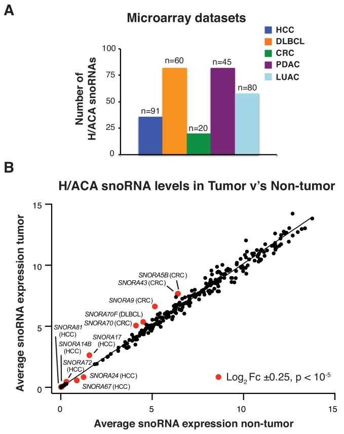 Figure 1—figure supplement 2.