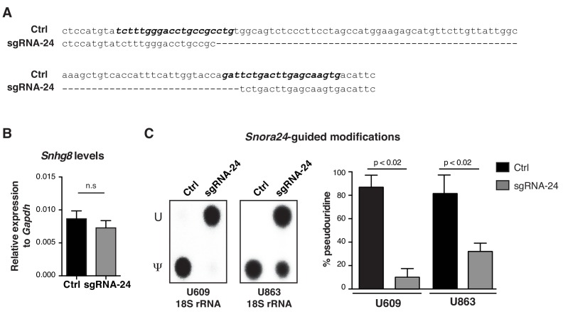 Figure 2—figure supplement 2.