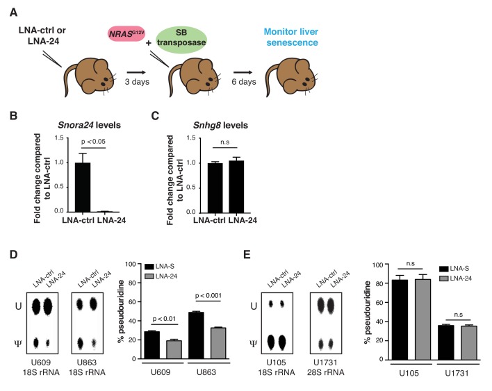 Figure 1—figure supplement 5.