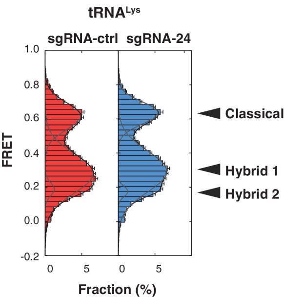 Figure 4—figure supplement 1.